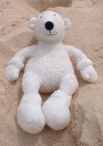 Paddy chilling out on Bondi Beach, Sydney