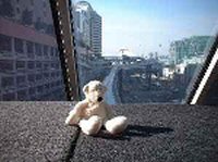 Paddy taking a ride on the monorail around Sydney