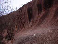 Paddy at Wave Rock, Hyden, Western Australia