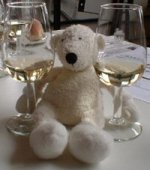 Paddy at the winery with 2 glasses of wine, Sydney