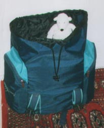 Paddy in the Rucksack ready to board the Eurostar to Disneyland Paris