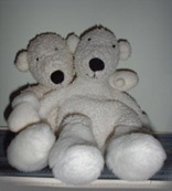 Paddy cuddling Percy (Polar Bears)