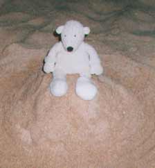 Paddy on the Beach in Portugal