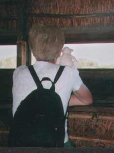 Paddy looking for Birds in a hide in Spain