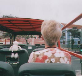 Paddy on Sightseeing Bus around Lisbon, Portugal