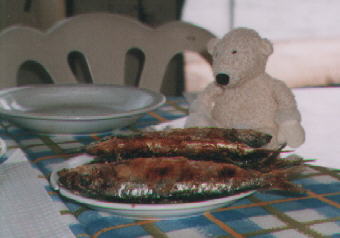 Paddy with a full plate of Sardines in Portugal